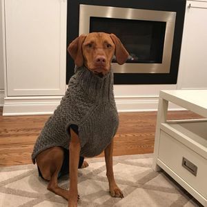 Meet your Posher, Barry